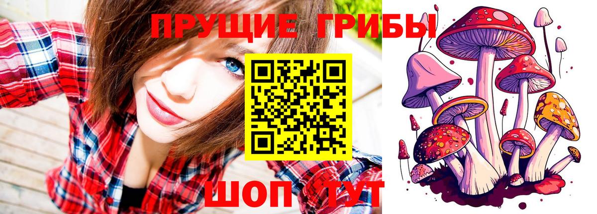 Галлюциногенные грибы MAGIC MUSHROOMS Ревда