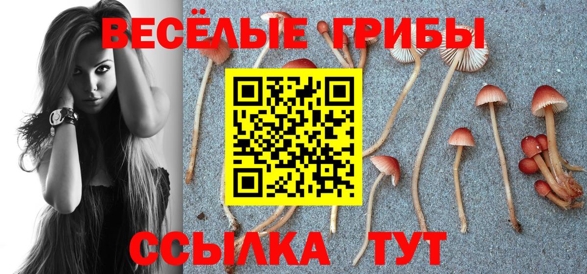 Ревда  Псилоцибиновые грибы Psilocybine cubensis  Вход с VPN 